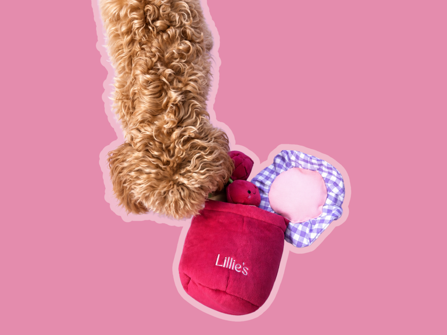 Lillie next to the Cherry Jam snuffle toy with its lilac gingham lid