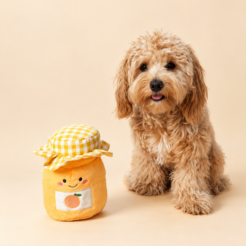 Small curly-haired dog sitting next to the Apricot Jam enrichment toy