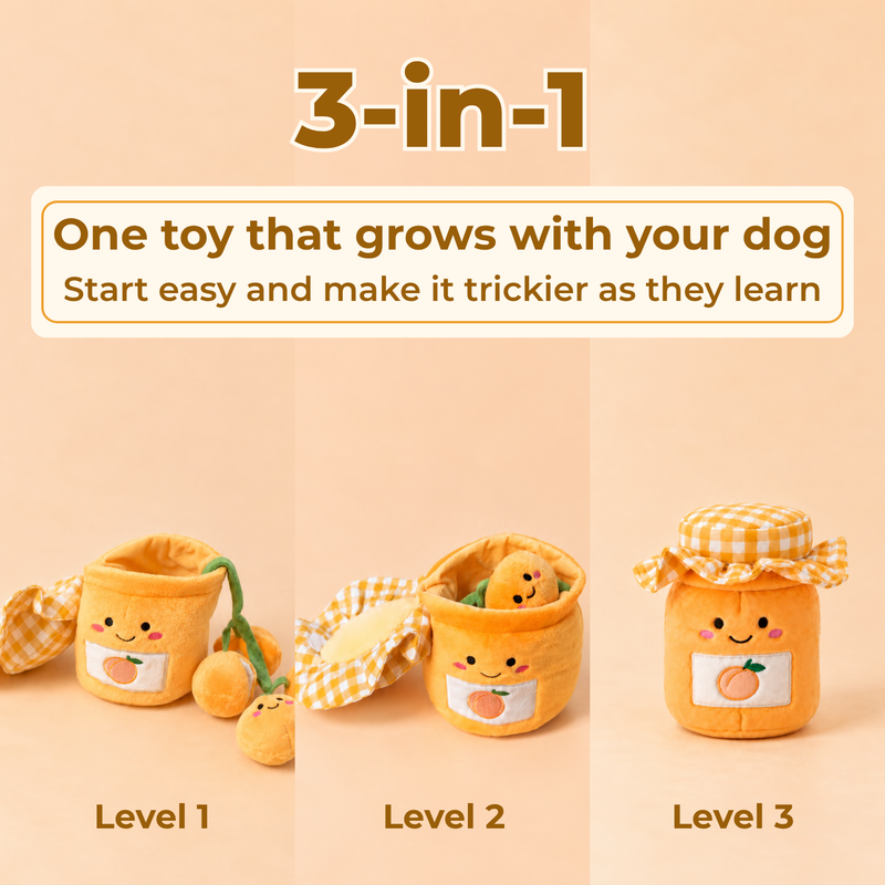 3-in-1, one toy that grows with your dog. Level 1: lid open, apricots out. Level 2: apricots tucked inside. Level 3: lid closed