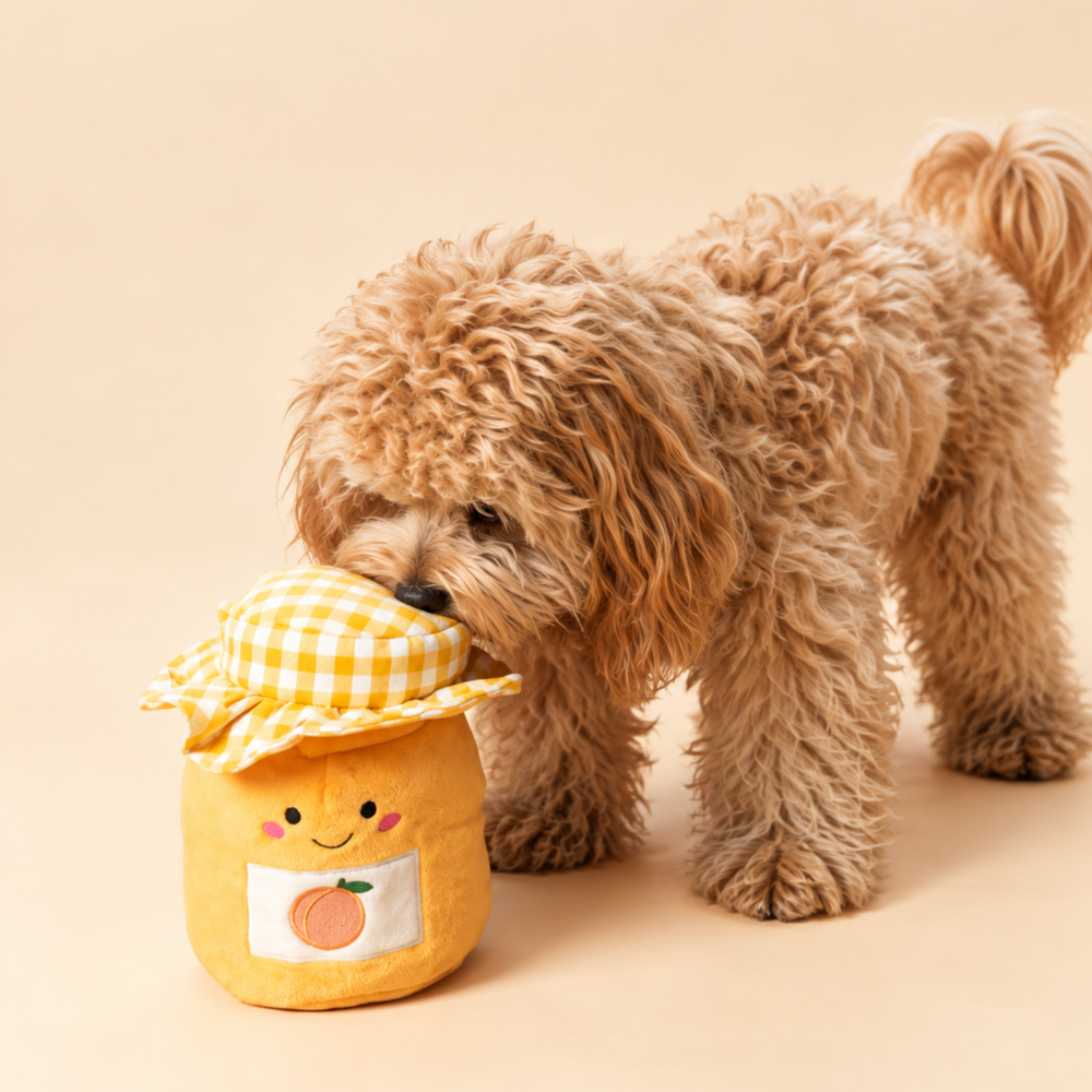 Small dog nosing the lid of the Apricot Jam toy to find the treats inside