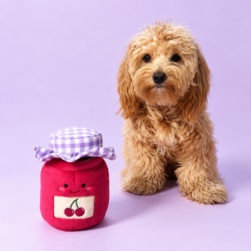 Small curly-haired dog sitting next to the Cherry Jam enrichment toy