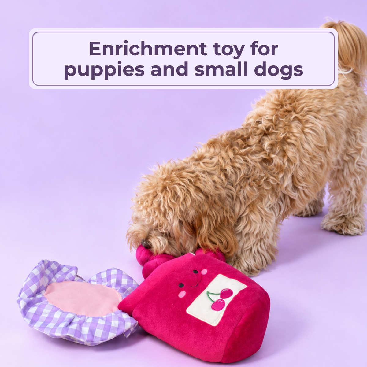 Small dog sniffing out treats from the cherries of the opened toy. Text: Enrichment toy for puppies and small dogs