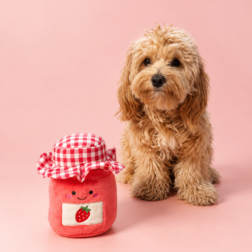 Small curly-haired dog sitting next to the Strawberry Jam enrichment toy