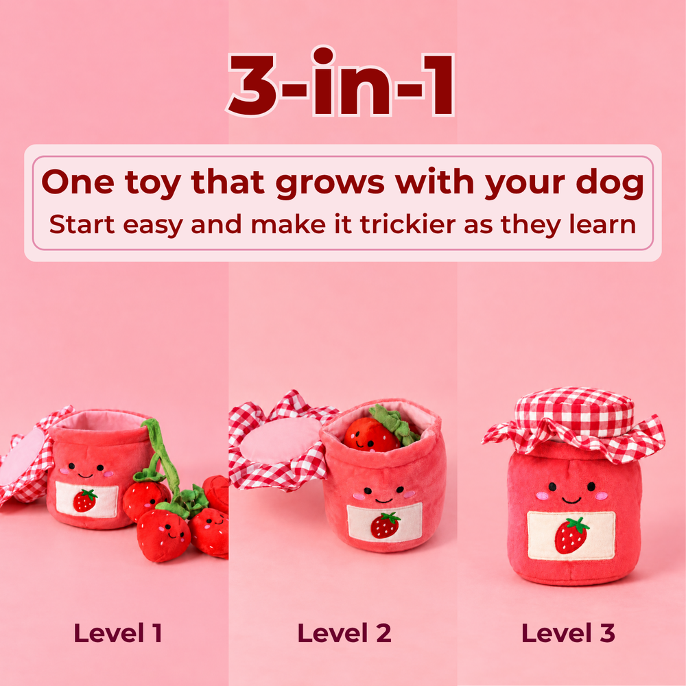 3-in-1, one toy that grows with your dog. Level 1: lid open, strawberries out. Level 2: strawberries tucked inside. Level 3: lid closed