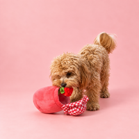 Small dog playing with the opened Strawberry Jam toy and searching for treats