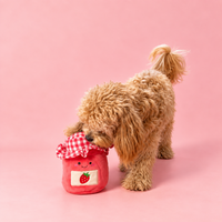 Small dog nosing the lid of the Strawberry Jam toy to find the treats inside