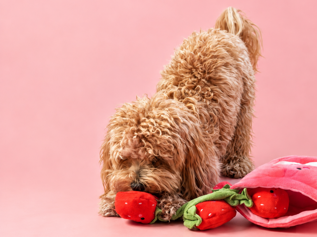 Lillie met het Aardbeienjam speeltje